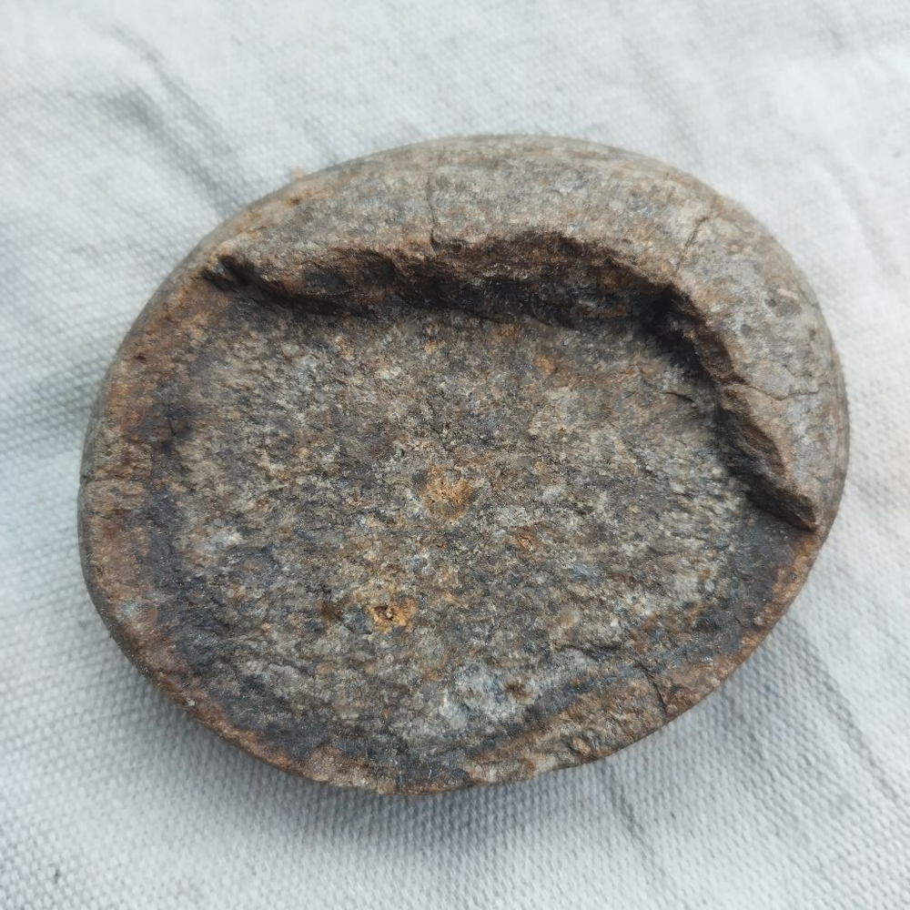 Hadrosaur fossil egg rare